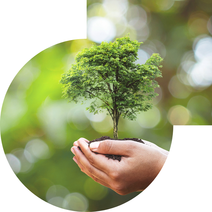 关怀人类、文化、环境与社会